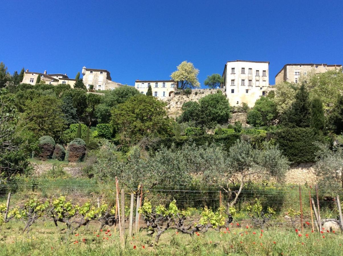 Simplicité et confort en Luberon Apartamento Ménerbes Exterior foto